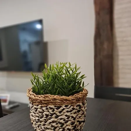 Ayuntamiento Parking Gratis. Auto Check-in.