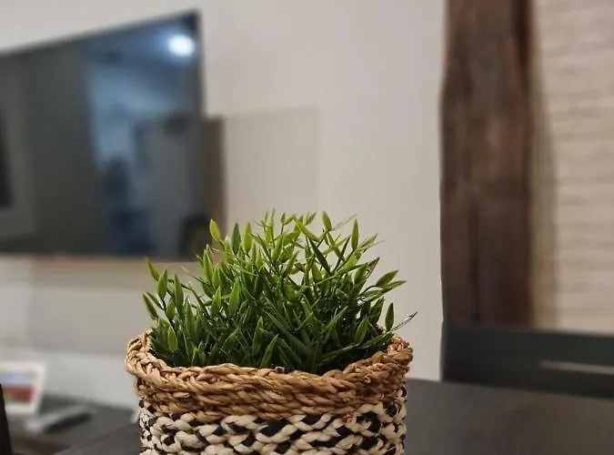 Ayuntamiento Parking Gratis. Auto Check-in.